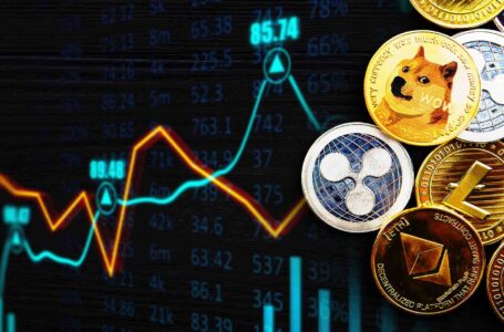 Altcoin season – kako se optimalno pripraviti na zaključni del bikovskega cikla (PREMIUM)